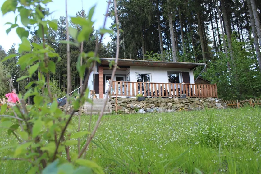 A Eichhorn 46, escursionisti e amanti della natura, - Image 1