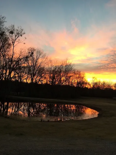 Private cottage situated on 6.5 acres, beautiful sunrises, pond, fishing & more. - Image 1