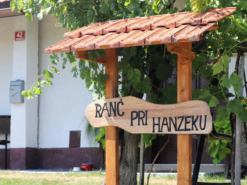 Vineyard cottage Ranč pri Hanzeku - Image 1