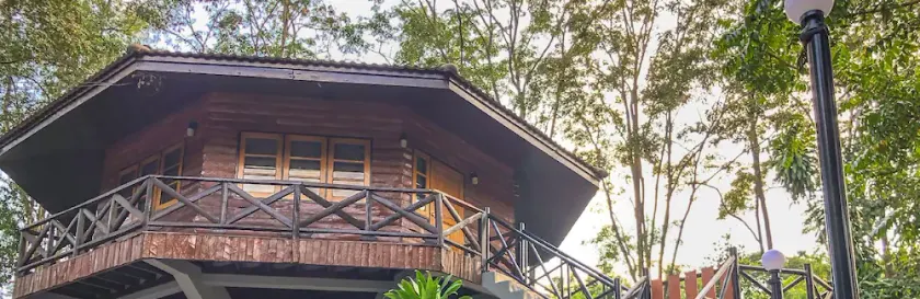 Hidden Treehouse in KhaoYai! - Image 1