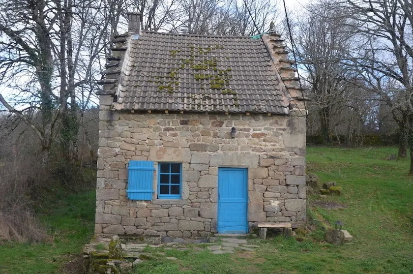 En kokon i naturen - Image 1