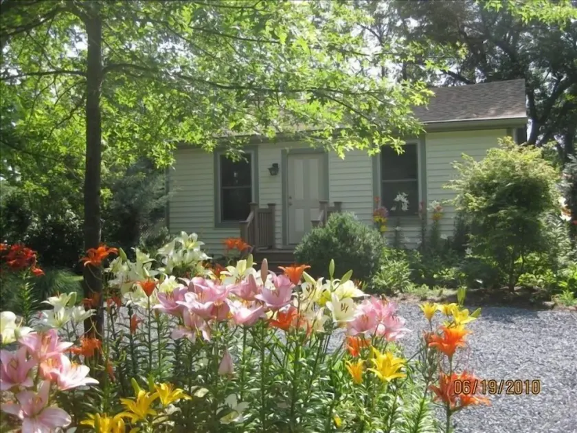 Den Gule Cottage på Harness Creek - Image 1