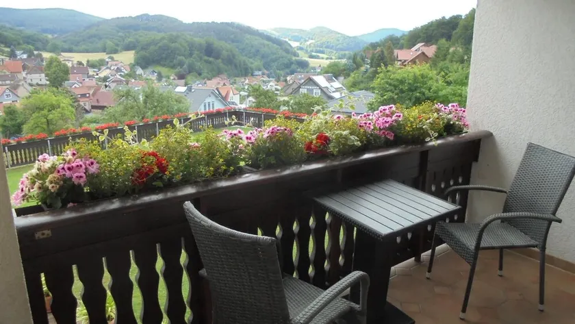 Neues Ferienhaus mit Innenpool im schönen Thüringer Wald am Rennsteig - Image 1