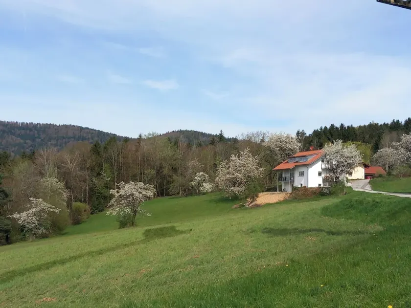 Traumhaftes neu Renoviertes Apartment mit Herrlichem Ausblick & top Ausstattung - Image 1