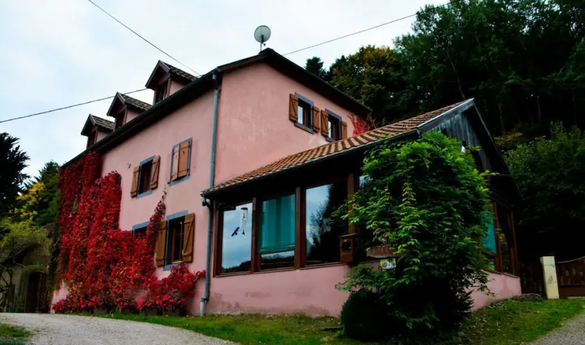 Appartement au Calme Dans la Nature en Alsace - Image 1