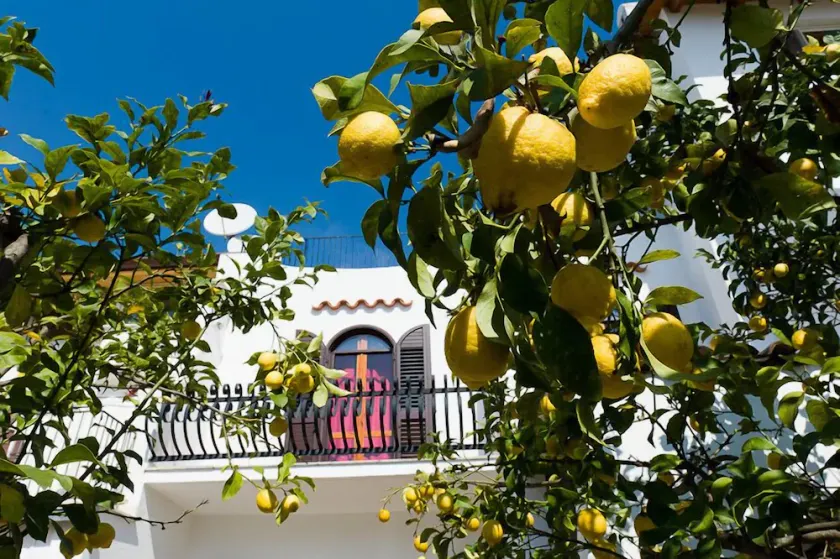 Casa Vacanza La Limonaia - Image 1