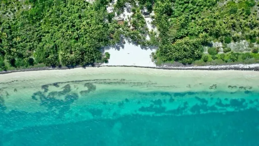 Dharma Eco-Resort - Image 1