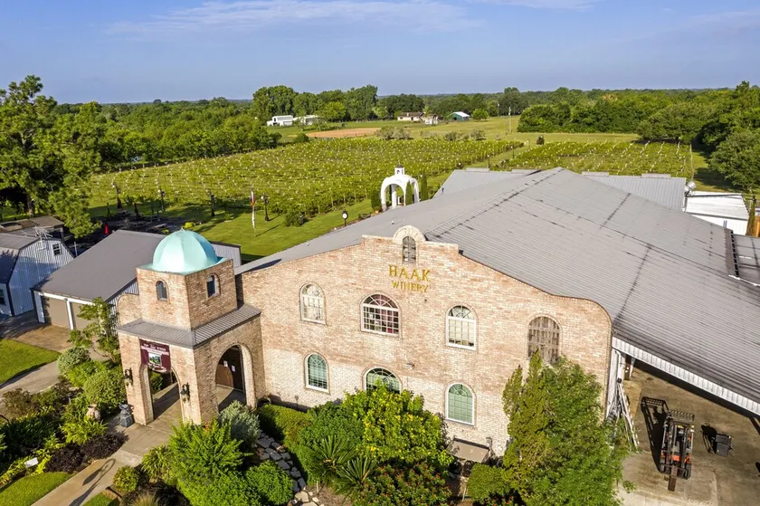Weingut Rückzugsort eingebettet zwischen den Bäumen - Image 1
