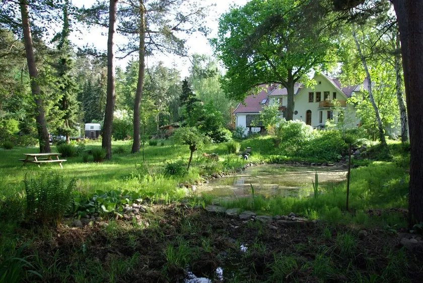 Waldblick - Image 1