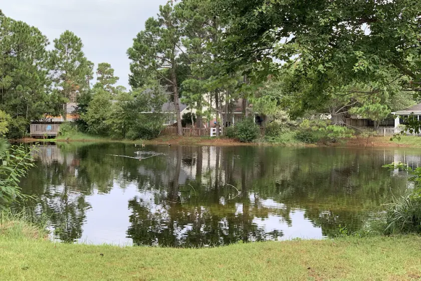Lovely 2 bedroom on lake between 2 beaches! - Image 1