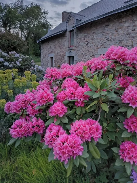 Domaine Minio Bihan - Image 1