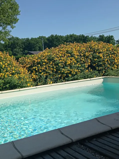 5 min from Sarlat Gîte l'olivier with jacuzzi, ideal for 2/4 people - Image 1