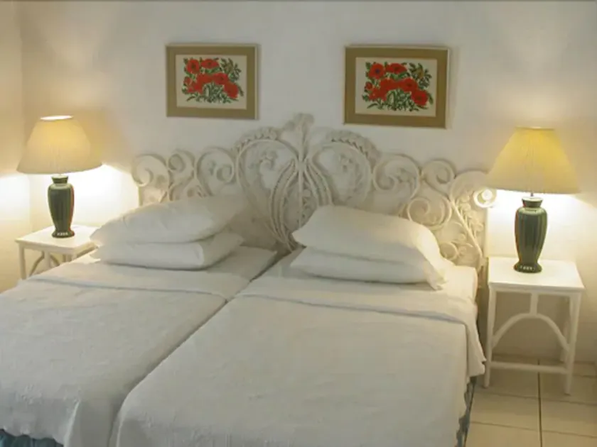 Paradise Villa - Image 1