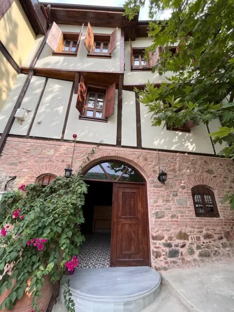 Trilye Taşev - Image 1