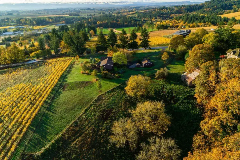 Spektakulær Åben grundplan Villa Atop Worden Hill med panoramaudsigt omgivet af vinmarker - Image 1