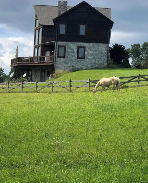 Country home, Beautiful country home with horses - Image 1