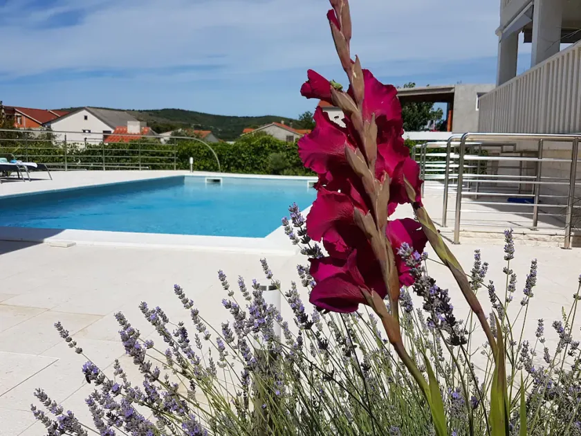 Spacious and well equipped apartment with outdoor grill and swimming pool (****) - Image 1