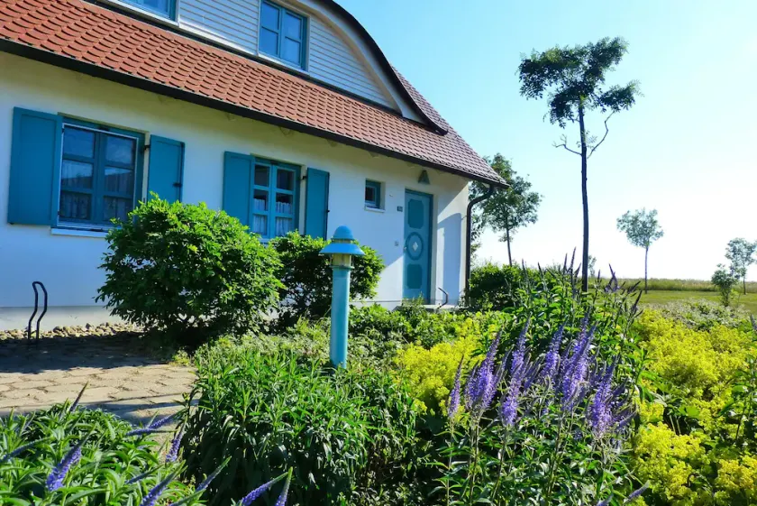 Ferienhaus-Sonnenblume - Image 1