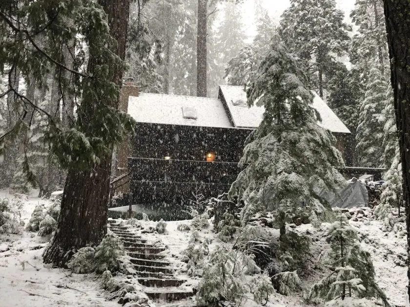 Grizzly Bear Lodge -- just fully remodeled! - Image 1