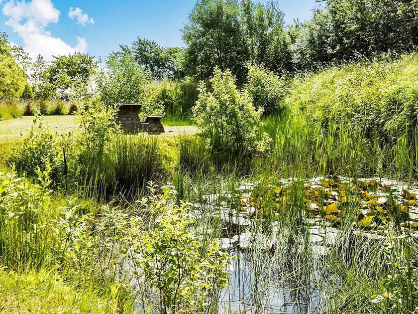 4 stjernet sommerhus i Rønne - Image 1