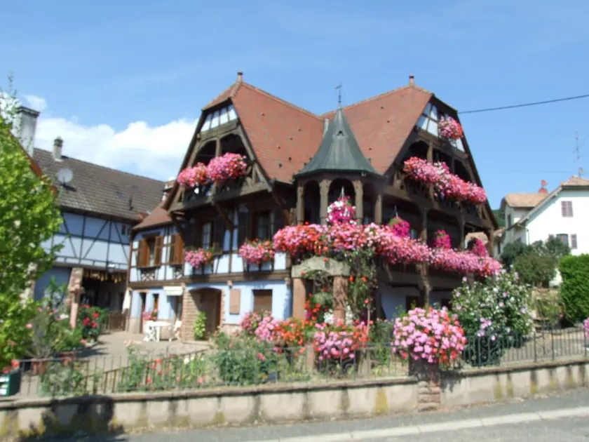 GÎTE  \"AU VIGNERON \"  - SPA - 3 Epis - Image 1