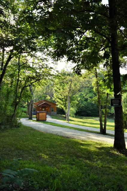 DIE GRÜNE HÜGELHÜTTE - Image 1