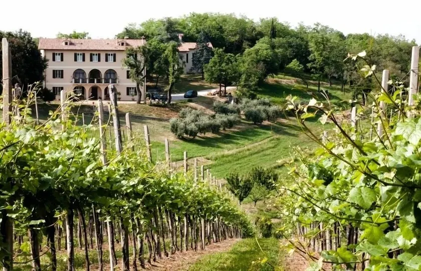 Agriturismo VILLA MARANI - Image 1