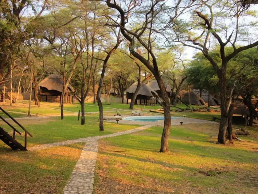 The Tree Lodge at Sikumi - Image 1