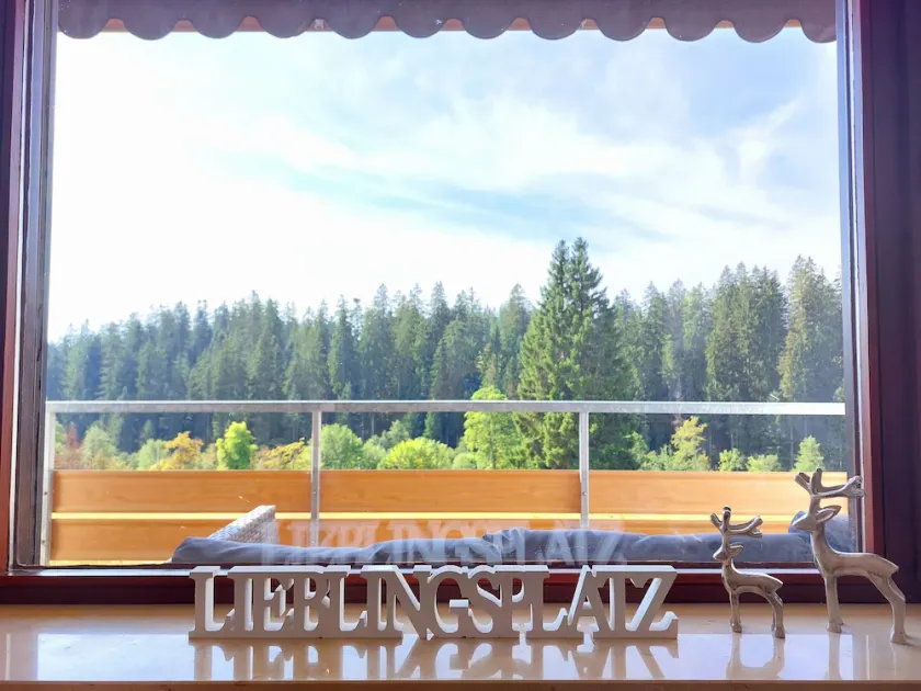 Cozy vacation apartment 'Lieblingsplatz' with pool and sauna - Image 1