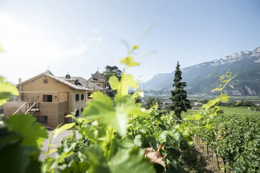Noble loft in the vineyards - Image 1