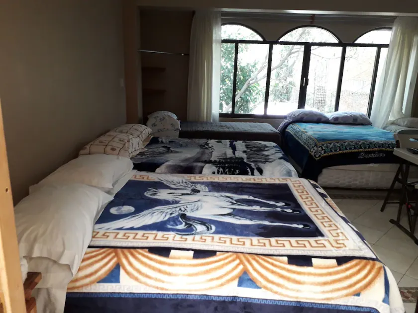 CIUDAD UNIVERSITARIA GUEST HOUSE - Image 1