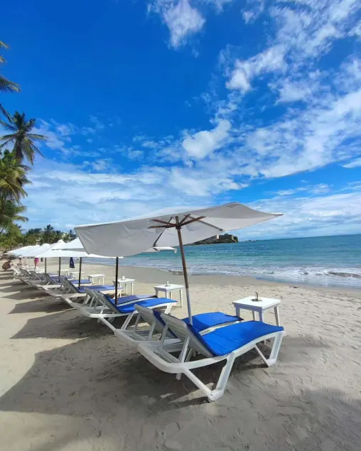 Hotel Margarita Dynasty - Image 1