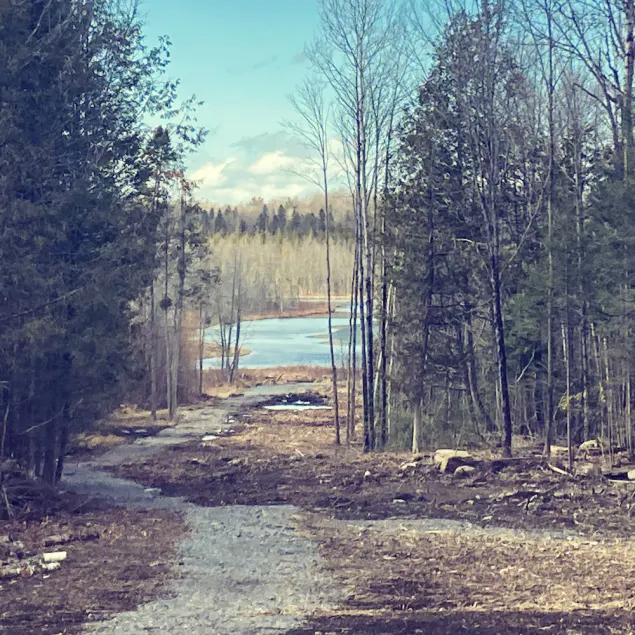 Gorgeous Lakehouse- sitting on 7 Acres - Near Trails- WiFi- Fireplace - Image 1