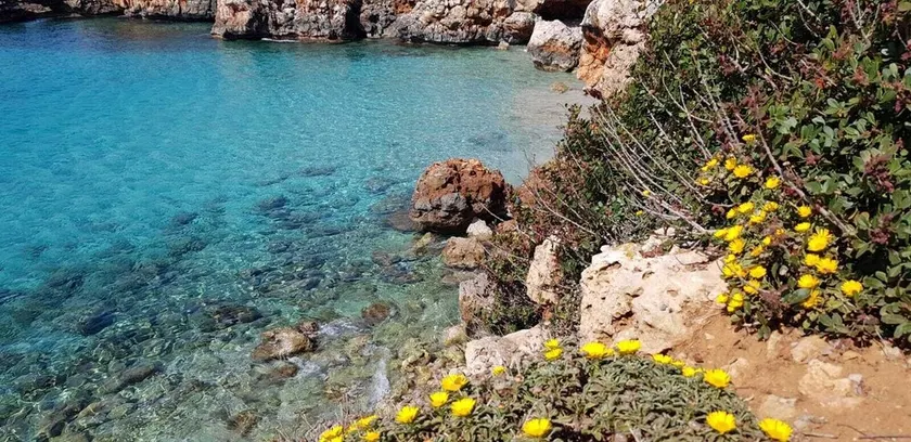 Cala Morlanda 1ère ligne - Image 1