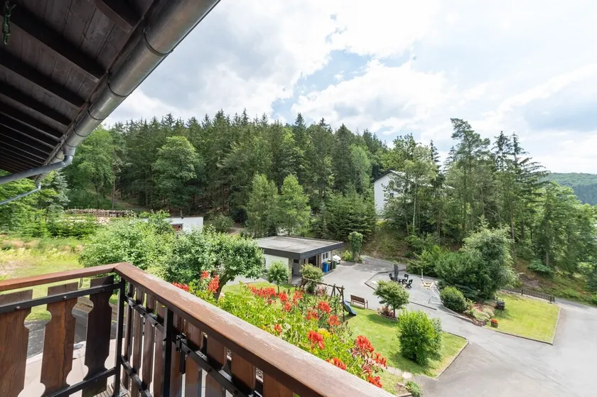 Pretty apartment in Medebach with adjacent forest - Image 1