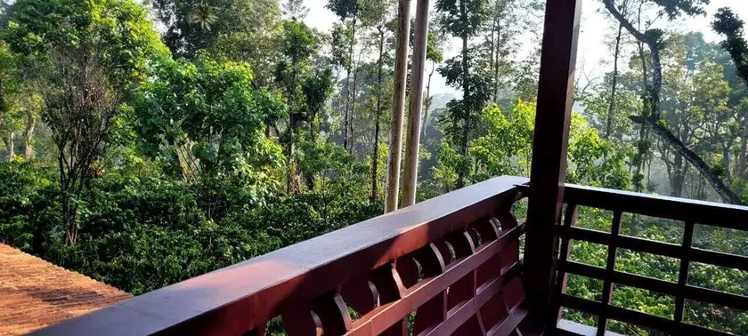 Heights Farm Stay - Nature Stay Near Madikeri - Image 1