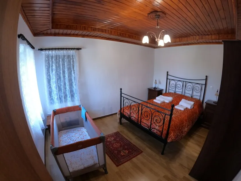 PIALEIA - Image 1