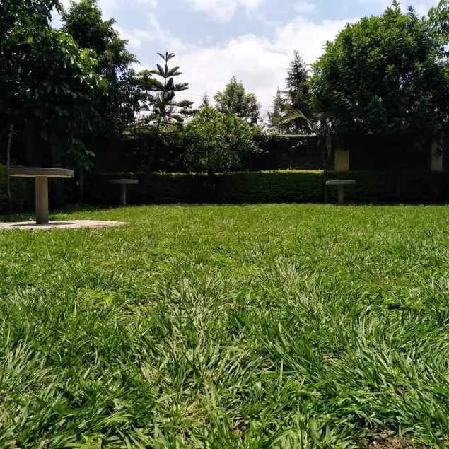 SizzlingWaters est une maison avec des commodités que vous trouverez dans un hôtel - Image 1