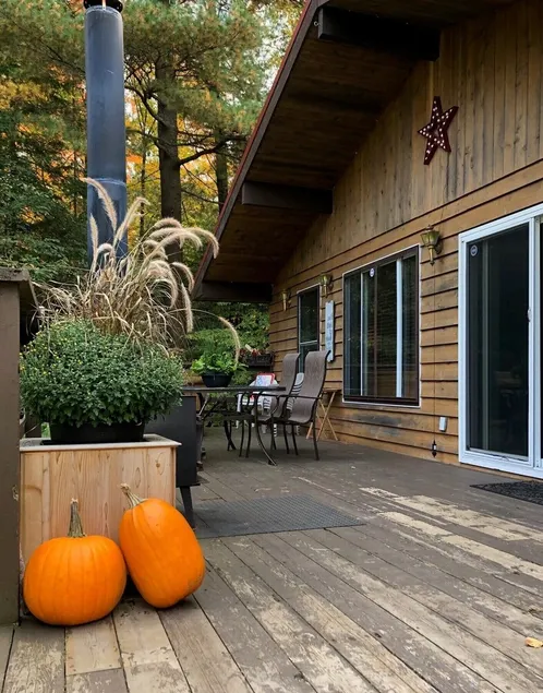 Cozy Waterfront Cottage near Huntsville, Algonquin park - Image 1