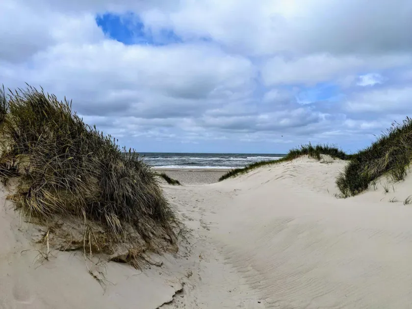 6 Person Holiday Home in Henne - Image 1