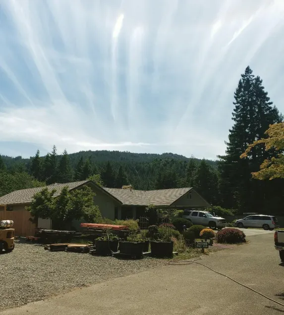 Avenue of the Giants Burl bungalow - Image 1
