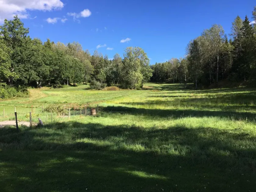 Family friendly house with all facilities, private, close to sea, fields, forest - Image 1