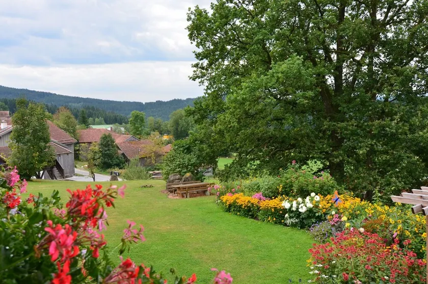 Ferienhaus mit Sauna in Skigebietsnahe - Image 1