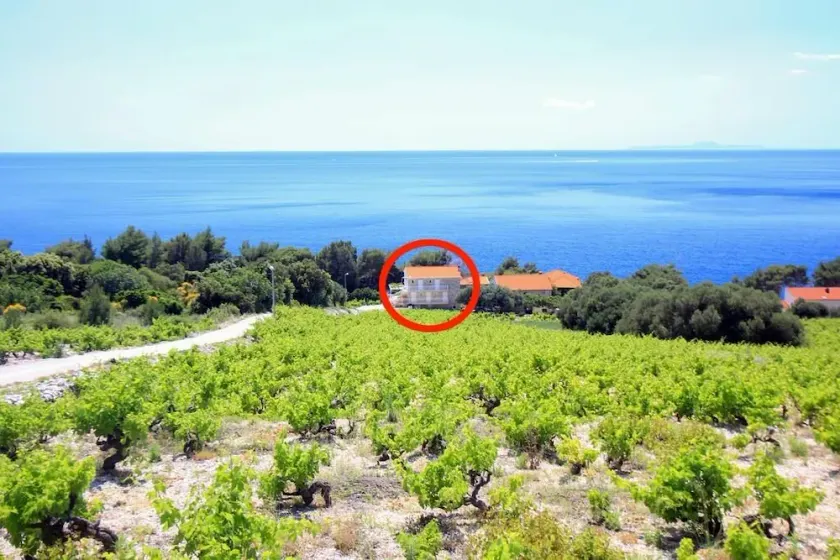 One bedroom apartment near beach Dingač - Borak (Pelješac) (A-18060-a) - Image 1