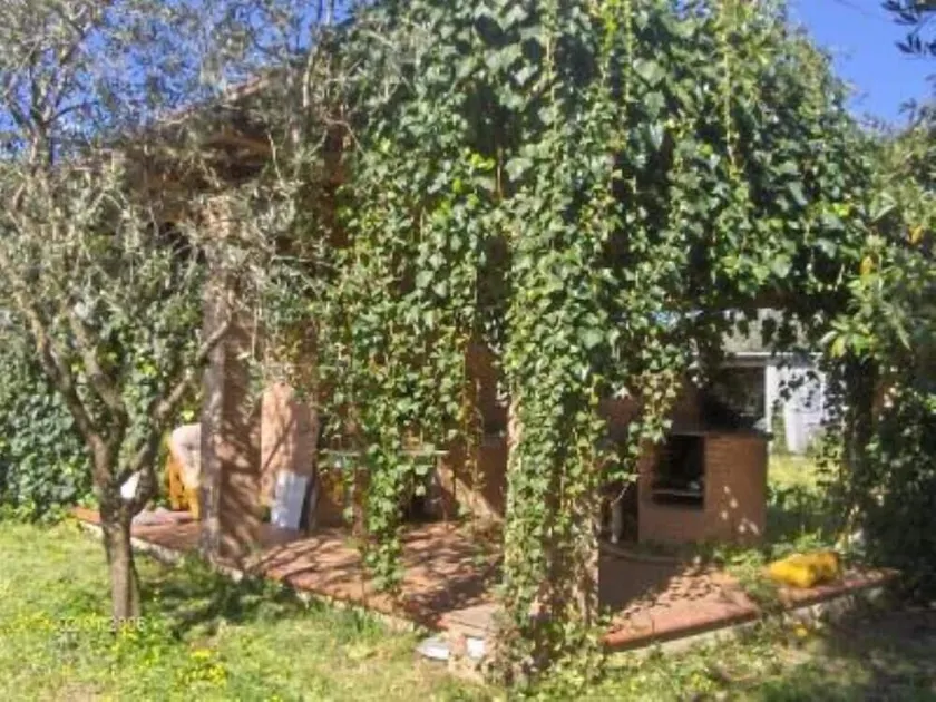 Marina di Ascea: Apartment in der Villa dei Limoni – Marina di Ascea - Image 1