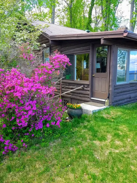Waterfront Cabin with Million Dollar View and Luxury Bath!  Find Shark's Teeth! - Image 1