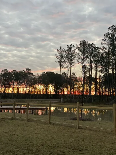 Peaceful Retreat! Cozy Lodge with Scenic Views, Patio, Fire Pit. - Image 1