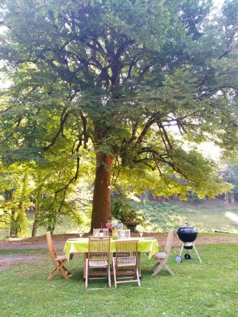 The lime tree of Bressolles - Image 1