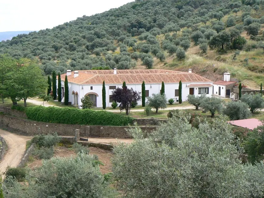 Manor house among cypresses and olive trees - Image 1
