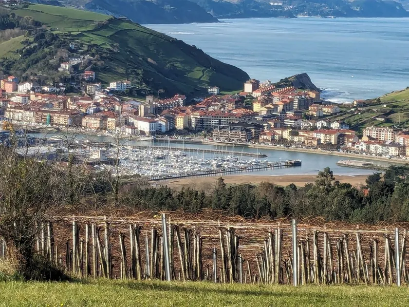 Zumaia Basque Alai - Image 1